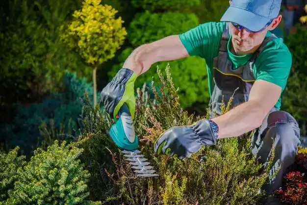 landscaping services Alexandria Bay